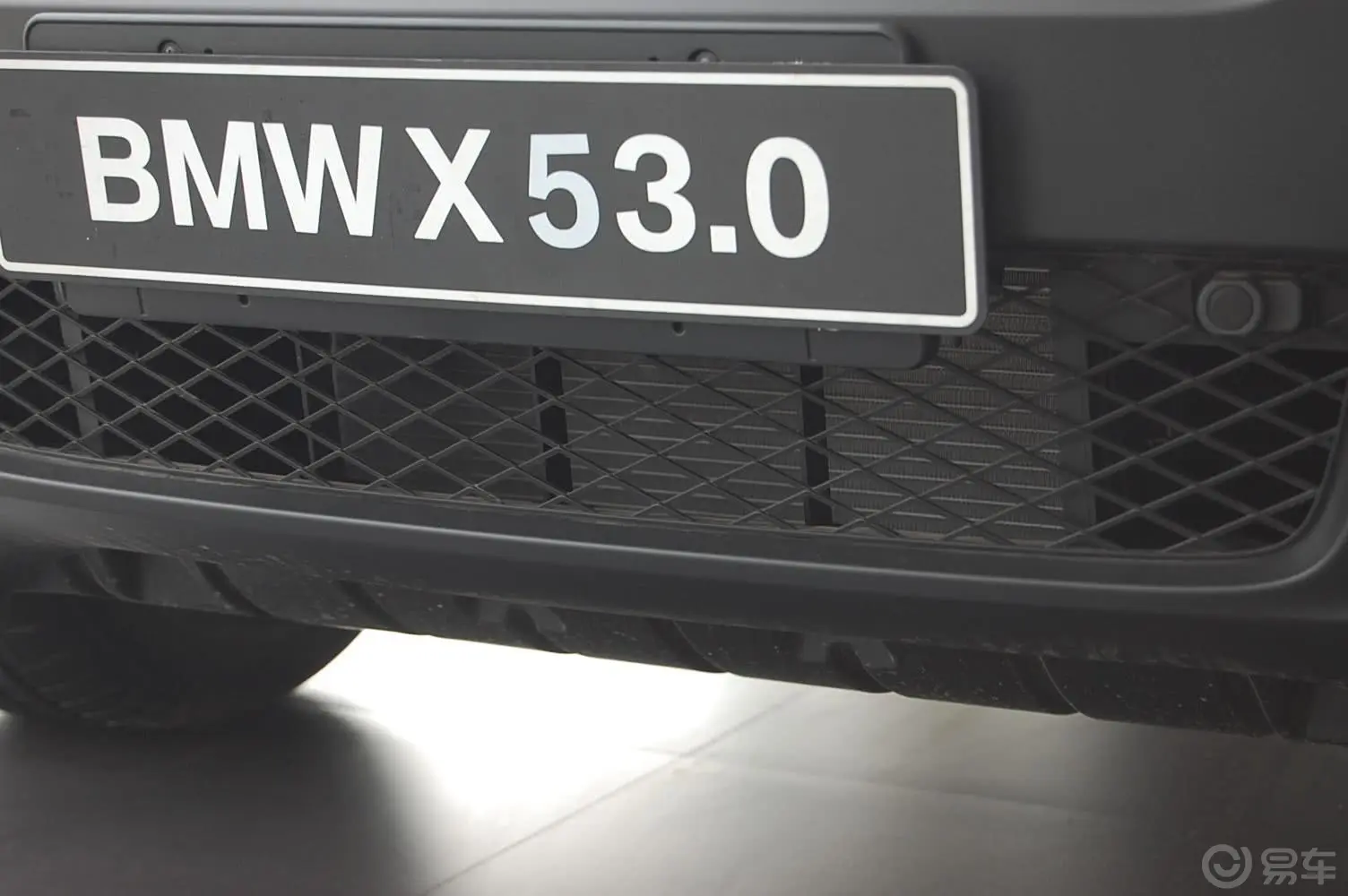 宝马X5(进口)xDrive30i 领先型外观
