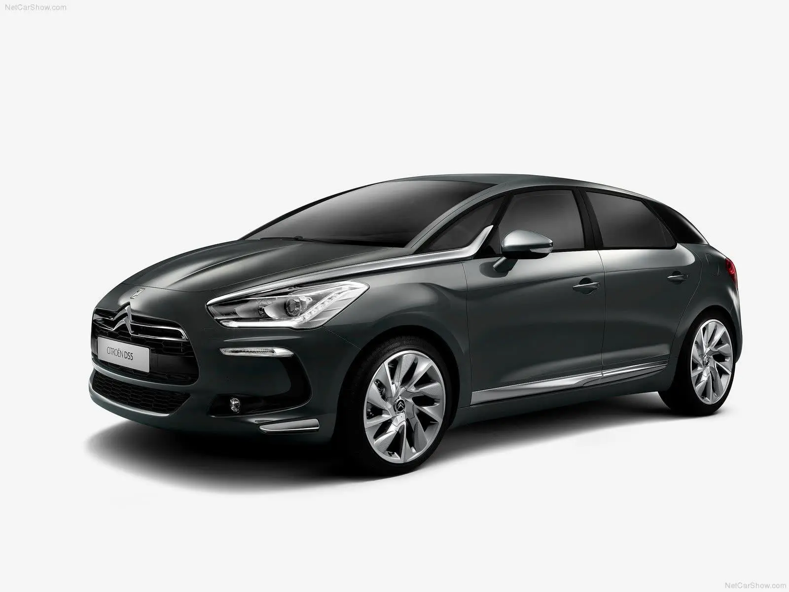 DS 5(进口)