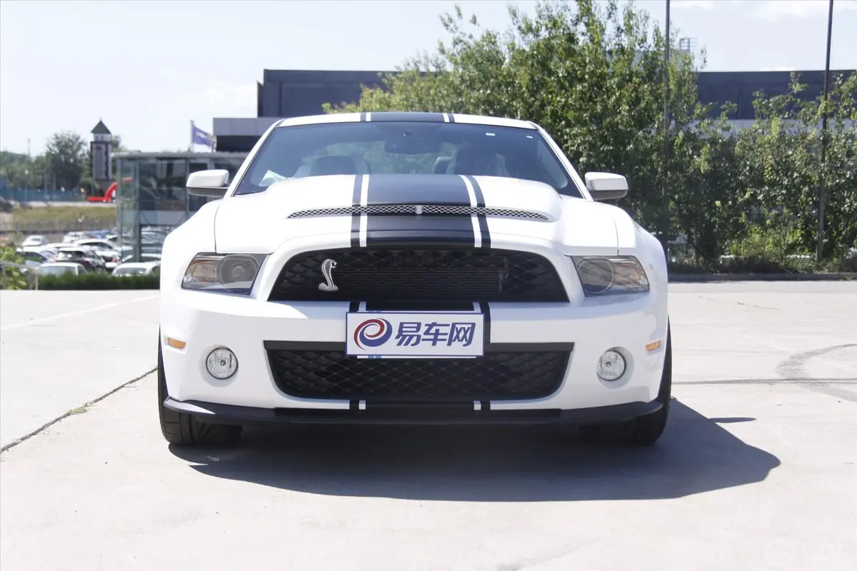 MustangShelby V8 5.4L 手动 豪华版 SVT改装正前水平