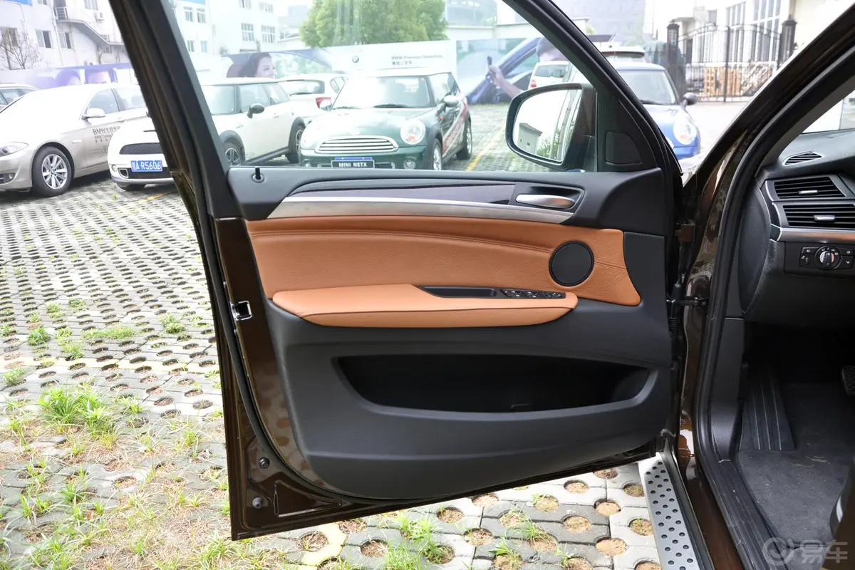 宝马X6xDrive35i驾驶员侧车门内门板