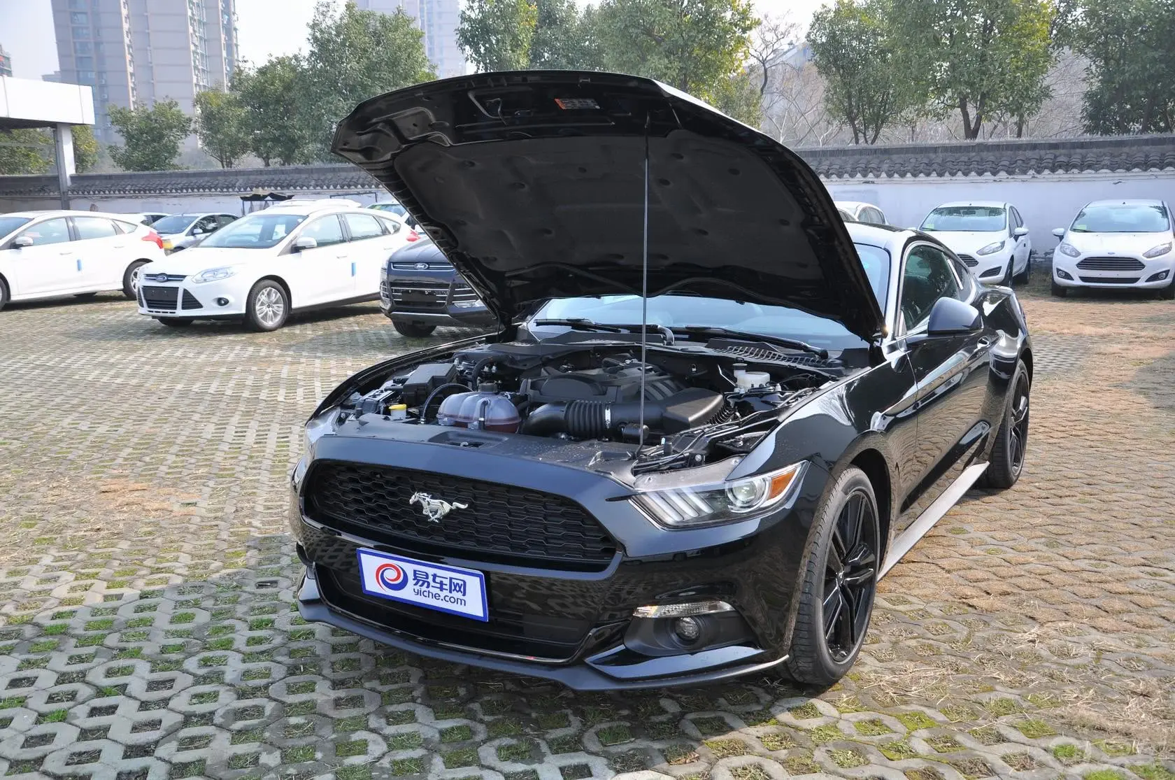 Mustang2.3L 手自一体 50周年纪念版发动机盖开启