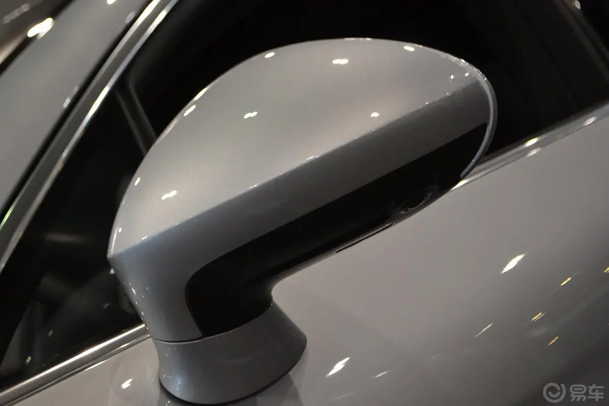 PanameraPanamera Turbo S Executive 4.8T后视镜转向灯（前）