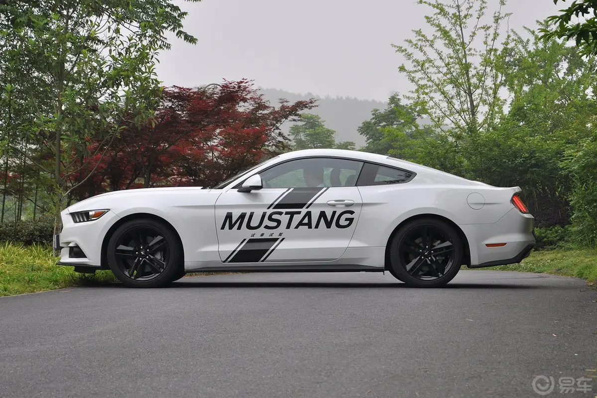 Mustang2.3L 手自一体 50周年纪念版正侧车头向左水平