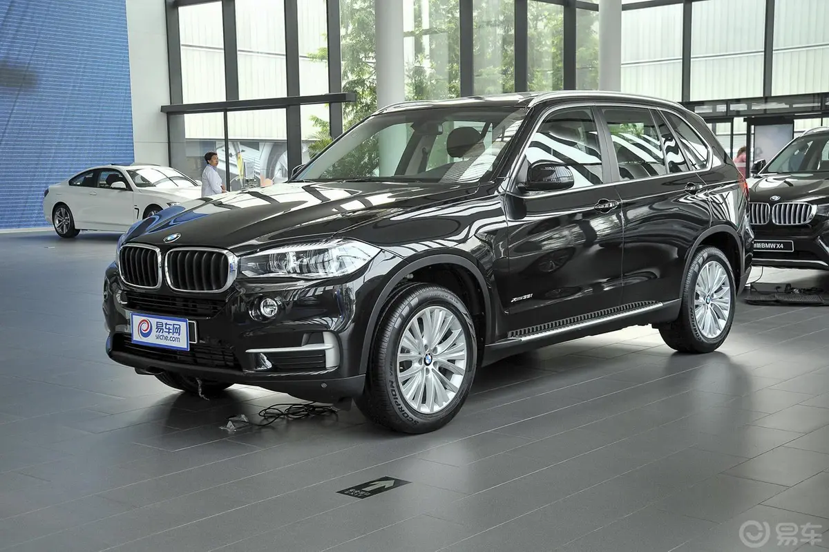 宝马X5(进口)xDrive35i 豪华型侧前45度车头向左水平