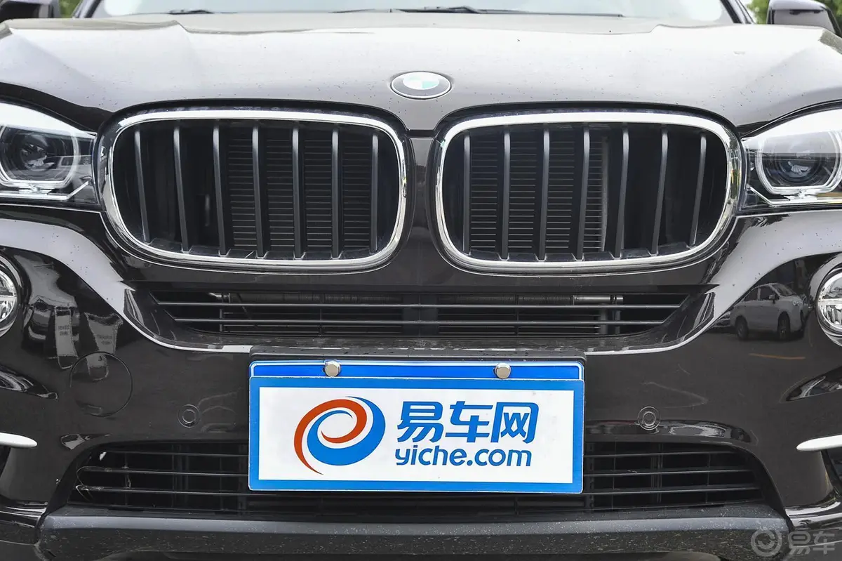 宝马X5(进口)xDrive35i 领先型前格栅侧俯拍