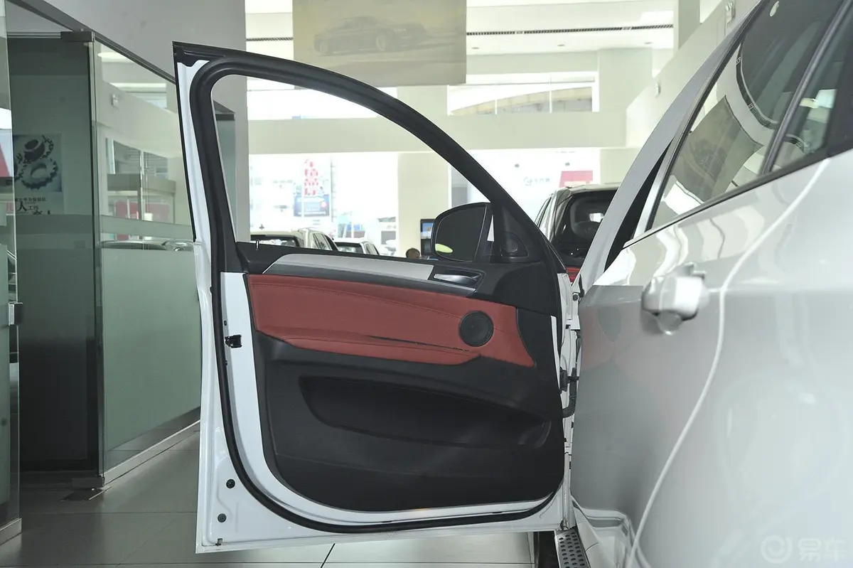宝马X6xDrive35i 中东版驾驶员侧车门内门板