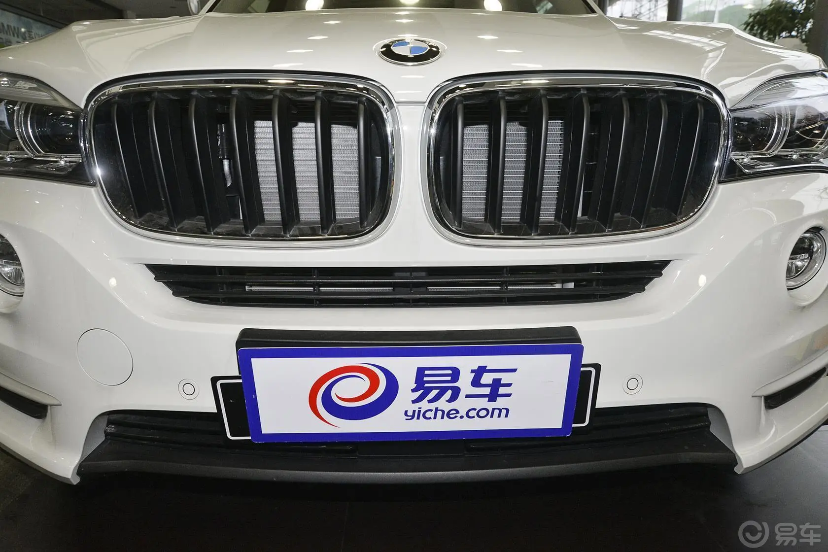 宝马X5(进口)xDrive35i 领先型前格栅侧俯拍