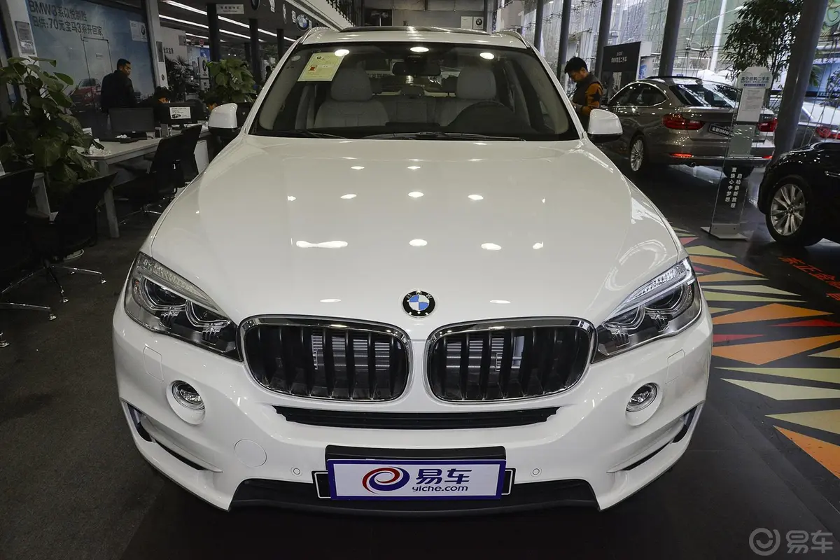 宝马X5(进口)xDrive35i 领先型正前水平