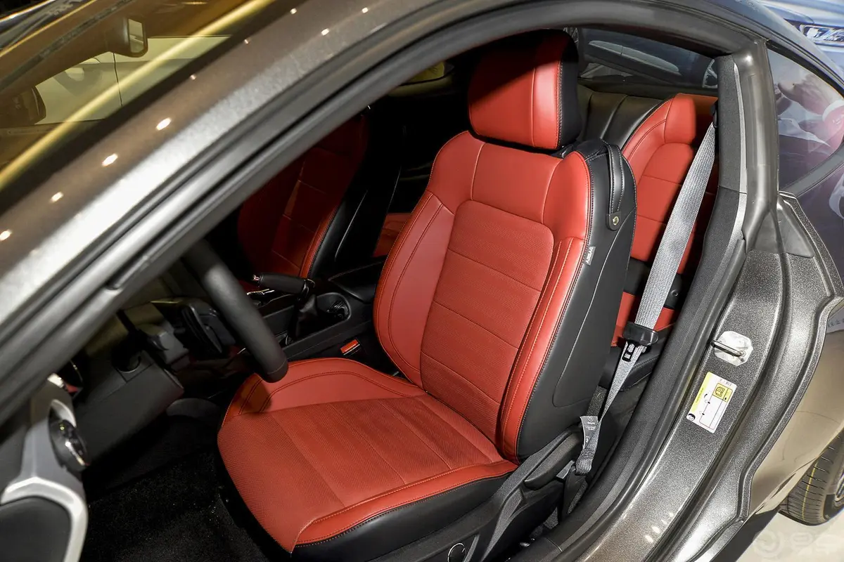 Mustang5.0L GT 手自一体 运动版驾驶员座椅