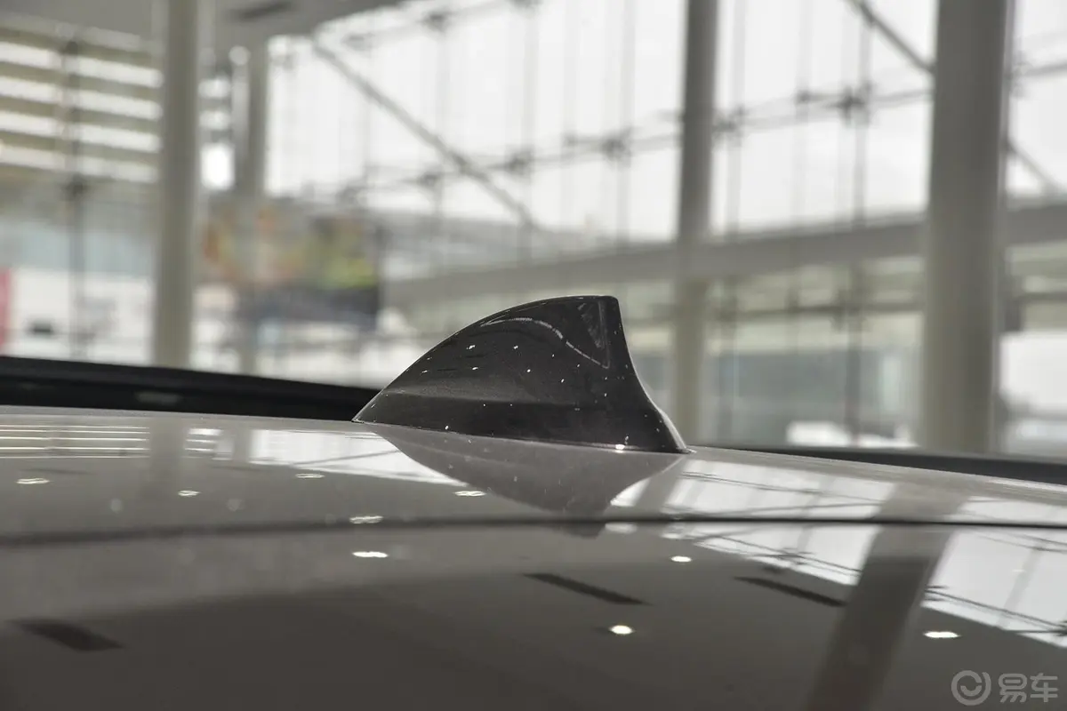 宝马X5(进口)xDrive35i 领先型天线