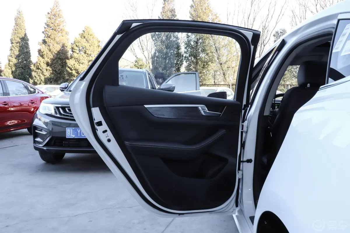 秦Pro新能源EV500 智联领享版驾驶员侧后车门