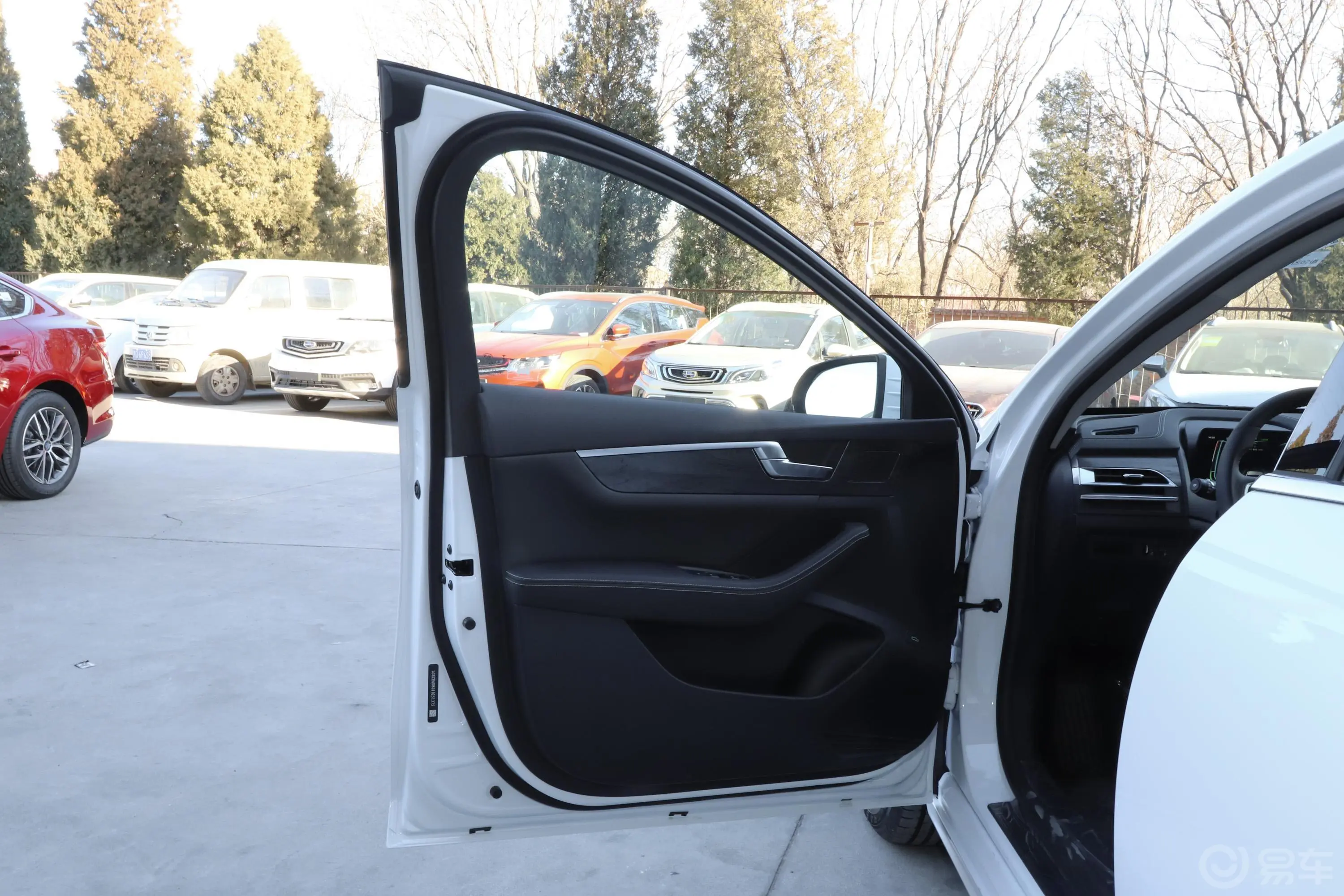 秦Pro新能源EV500 智联领享版驾驶员侧前车门