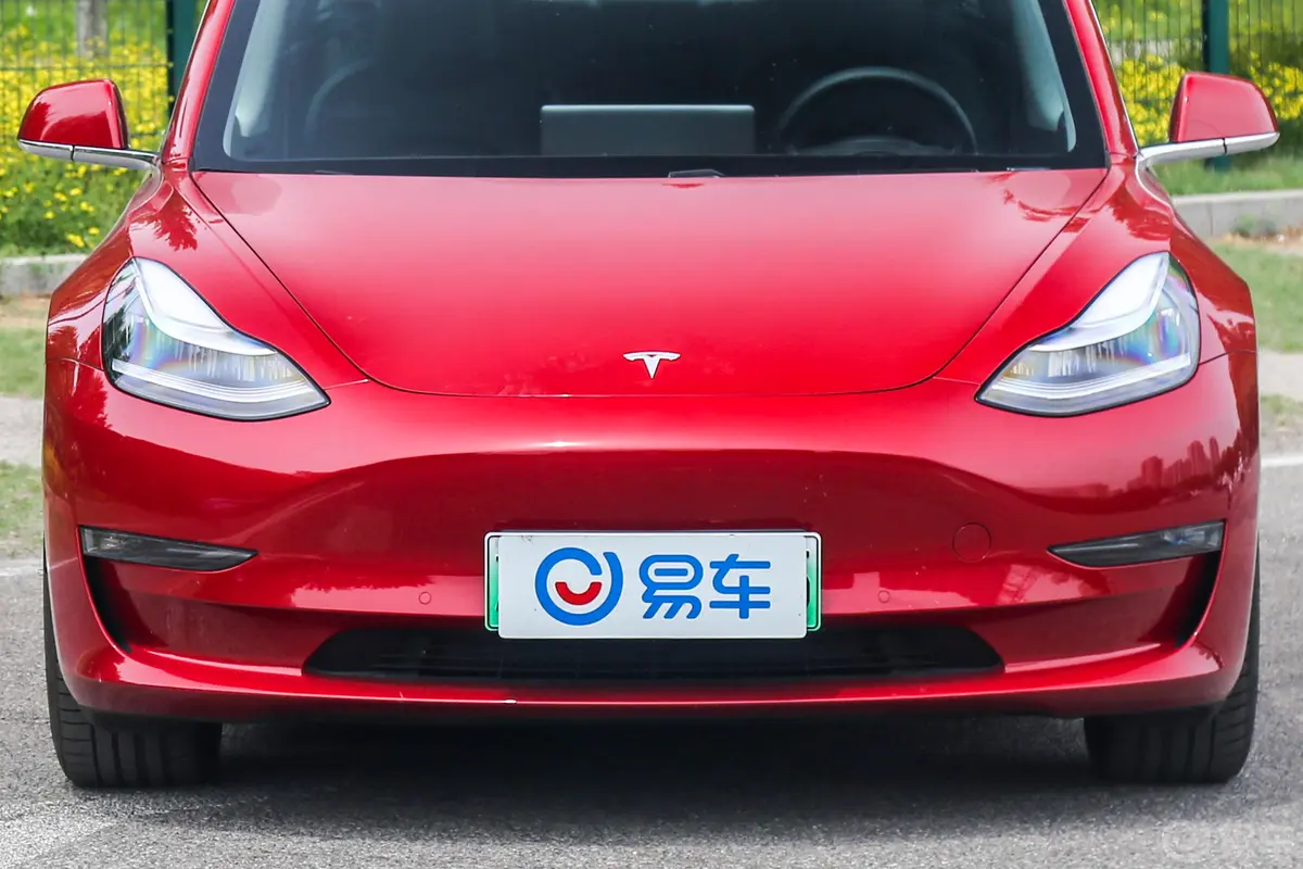 Model 3(进口)长续航全轮驱动版外观