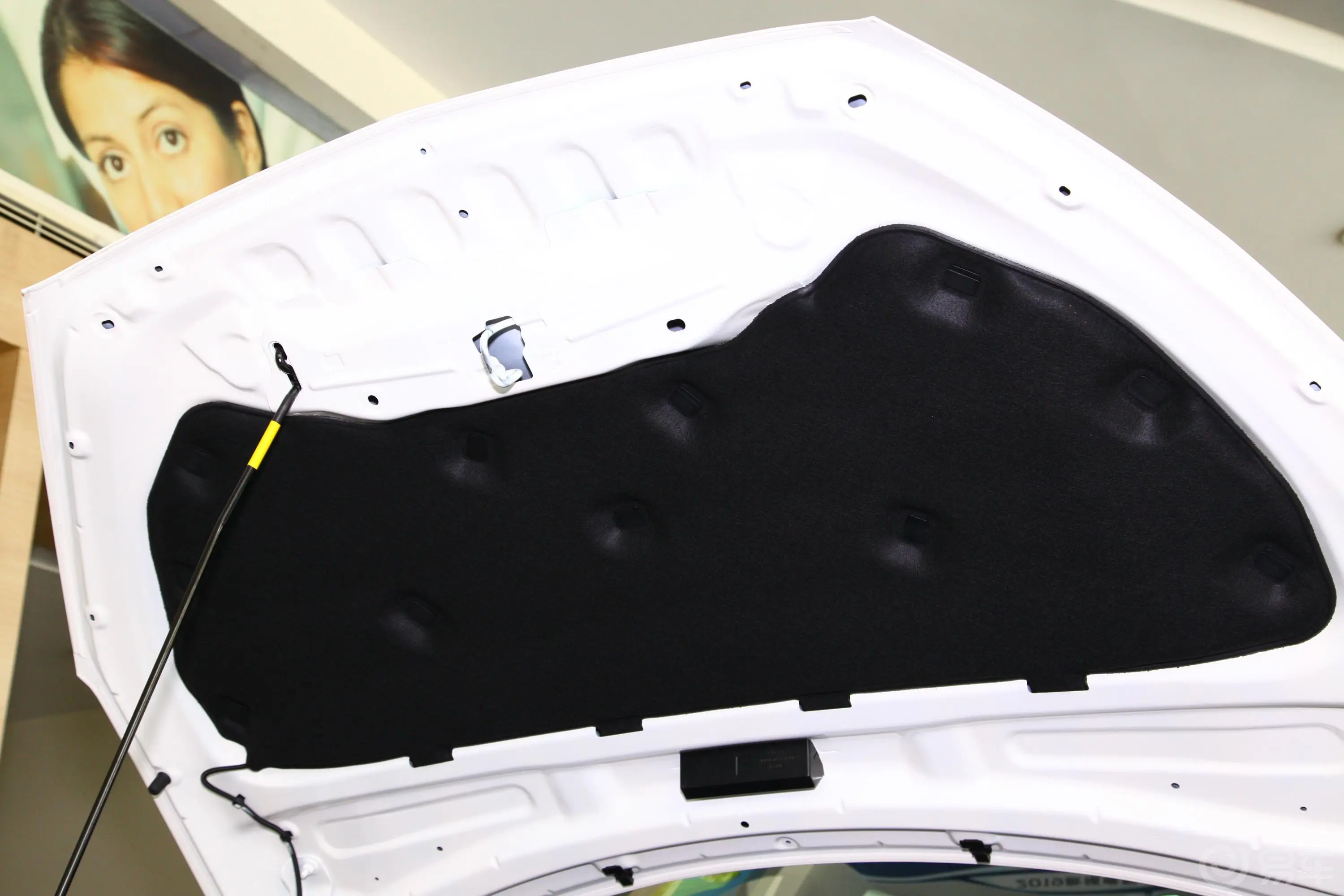 福睿斯改款 1.5L 手自一体 质享型 国VI发动机舱盖内侧