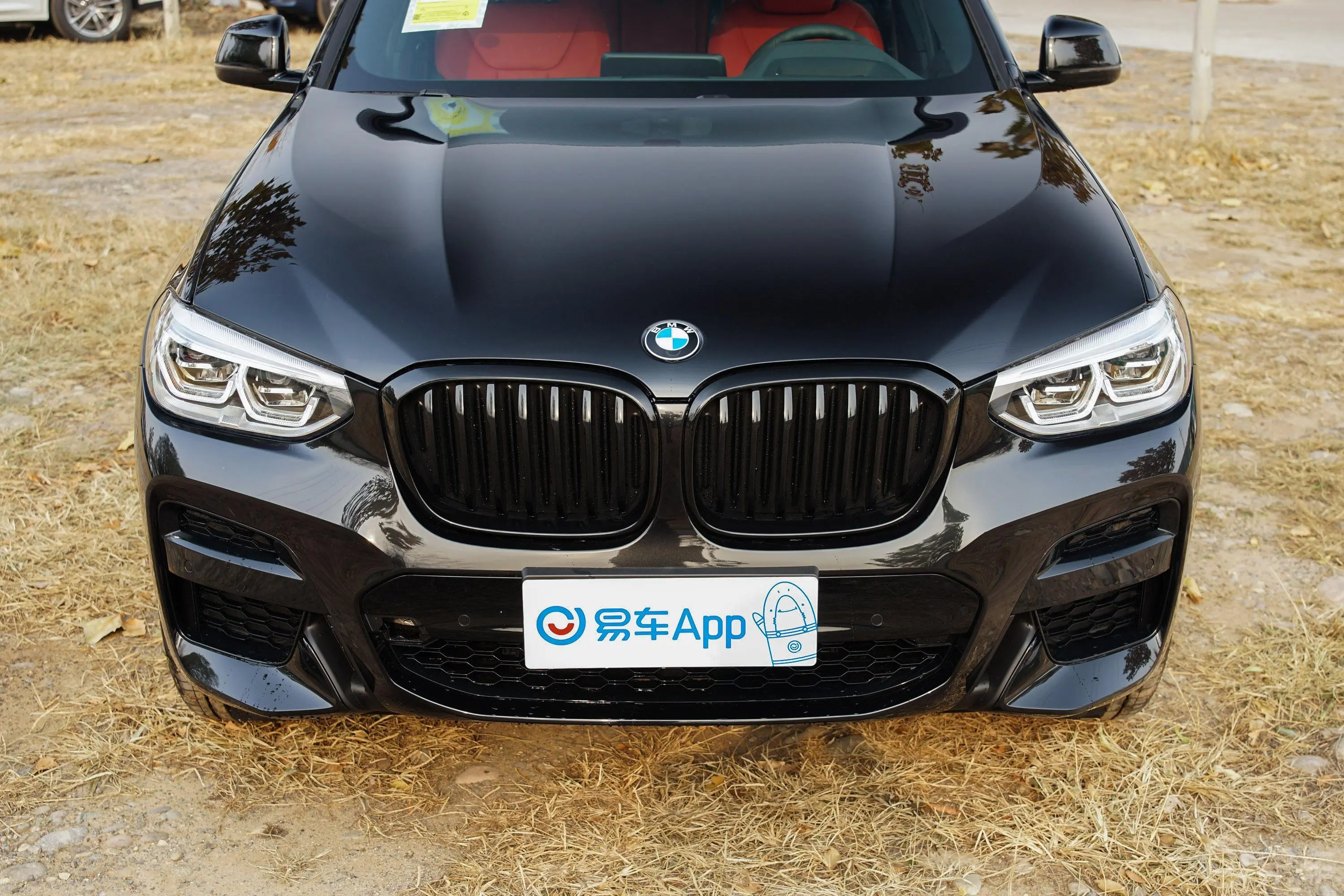 宝马X4xDrive25i 黑骑士限量版外观