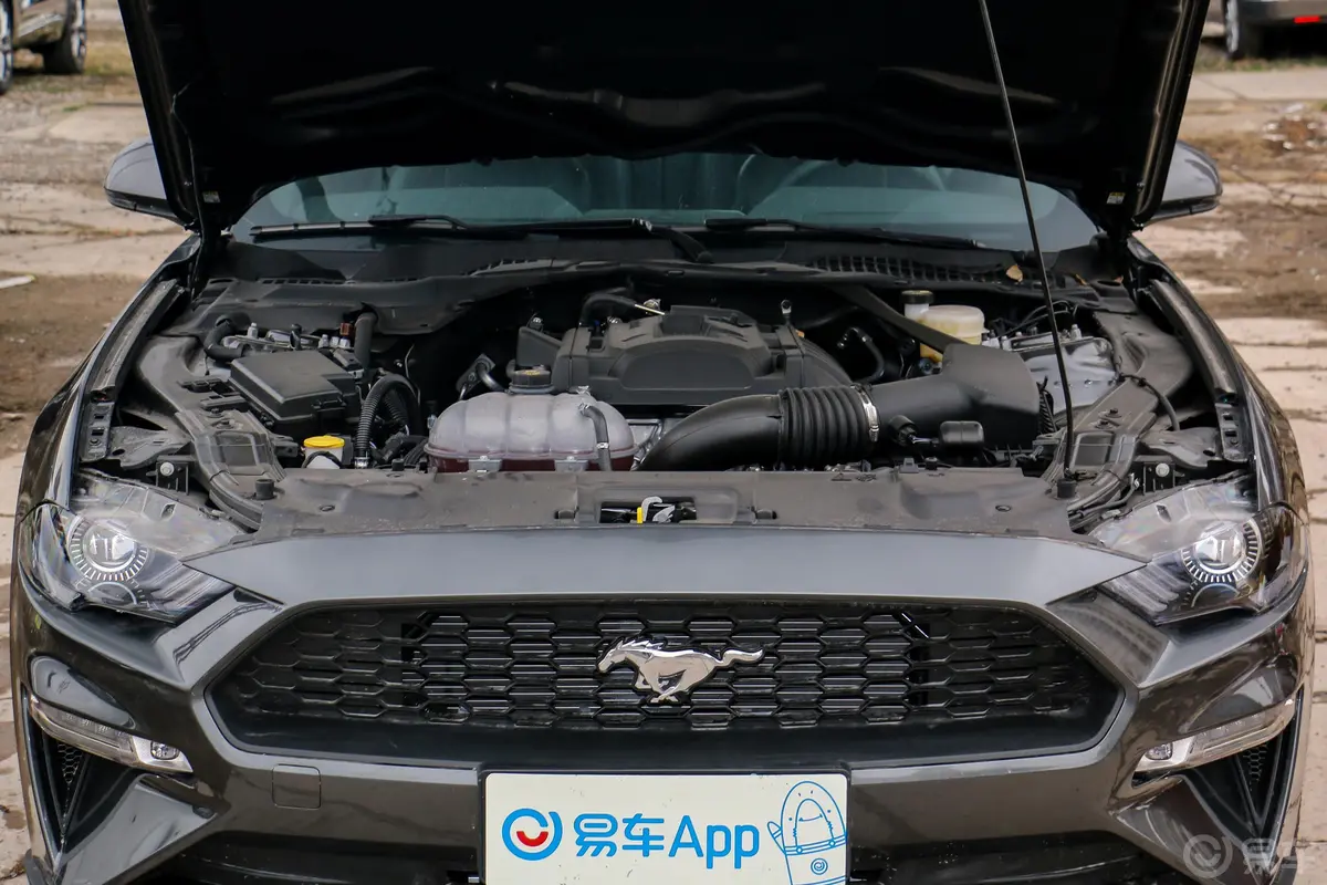 Mustang2.3L EcoBoost外观