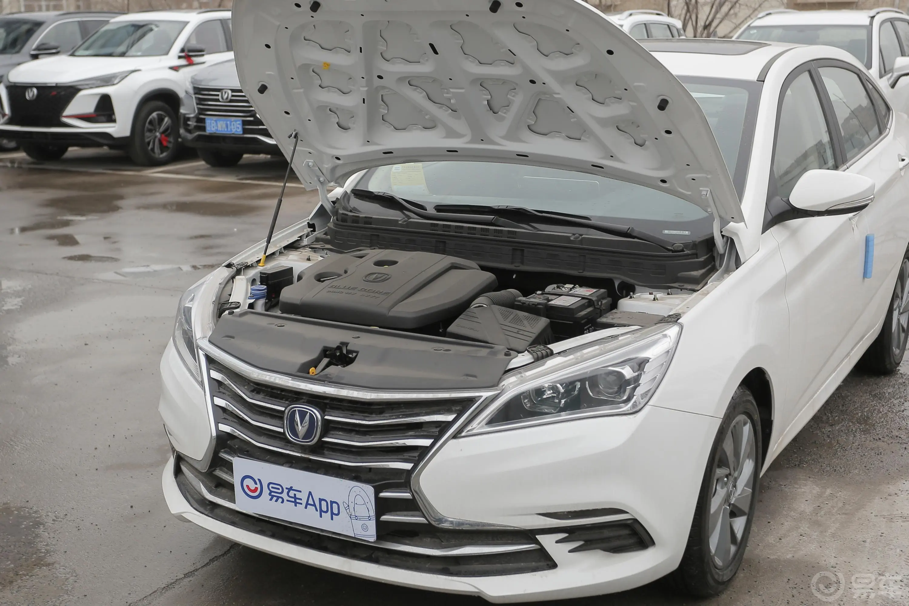 逸动DT1.6L 手自一体 智享型 国V外观