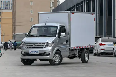 2019款 东风小康C35 1.5L 基本型Ⅱ 2座 国VI外观