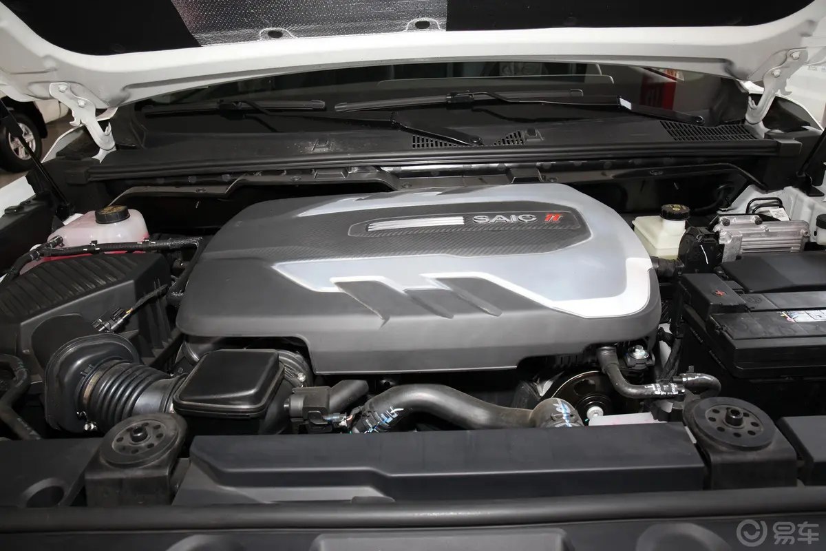 大通T902.0T 手动两驱双增压长箱高底盘 舒享型 柴油发动机特写