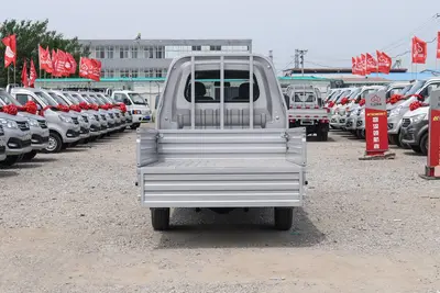 2021款 新豹T1 1.2L 双排单后轮 载货汽车 标准版空间