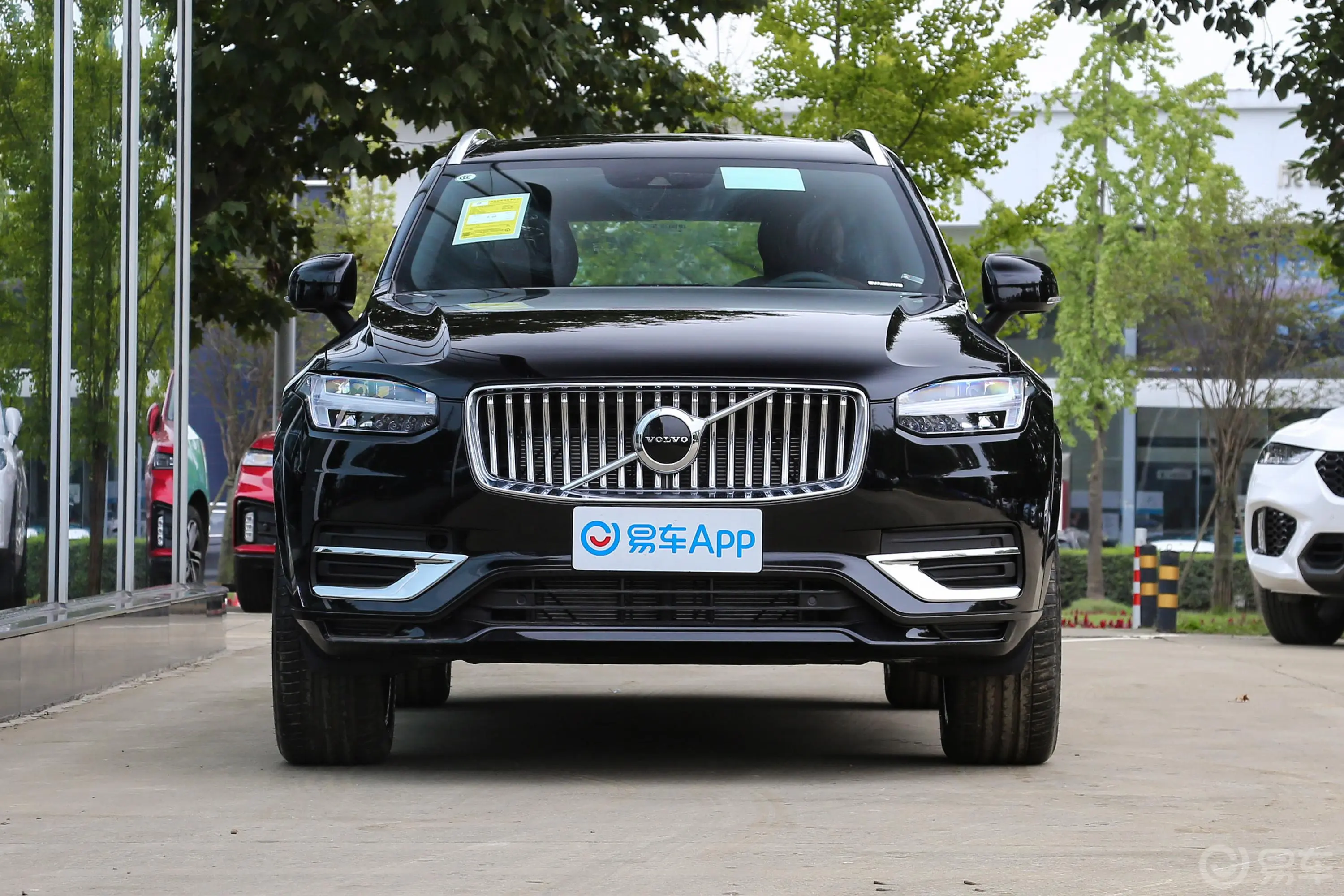 沃尔沃XC90B5 智行豪华版 5座正前水平