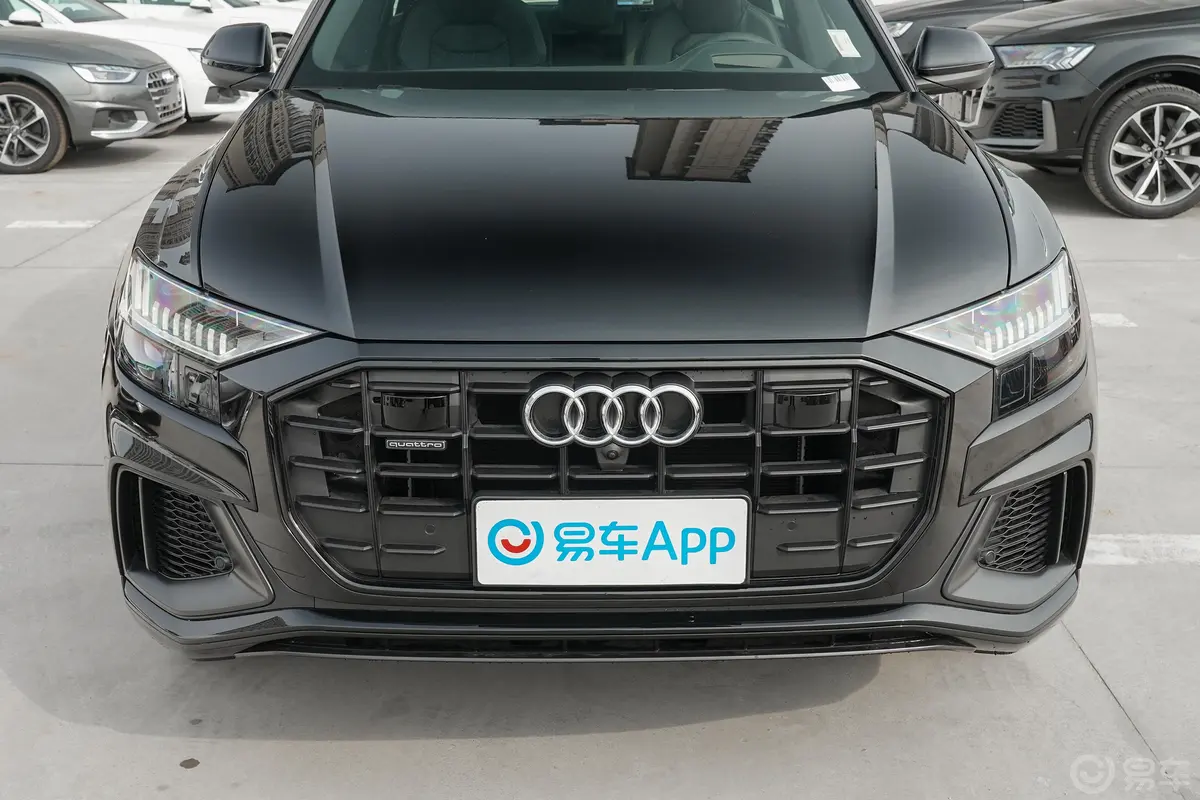 奥迪Q855 TFSI quattro 冰雪运动型外观细节