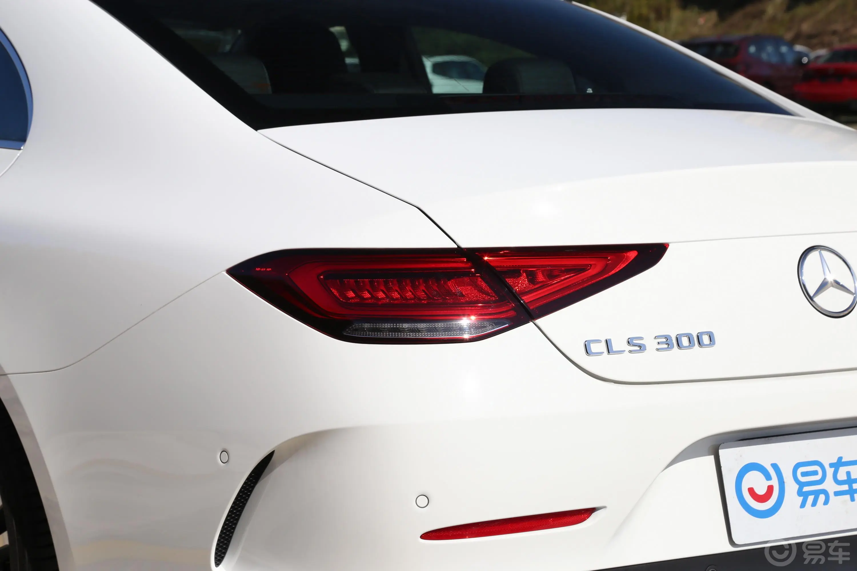 奔驰CLS级改款 CLS 300 动感型外观