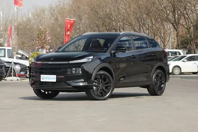 2022款 思皓QX 300T 双离合 探月版外观