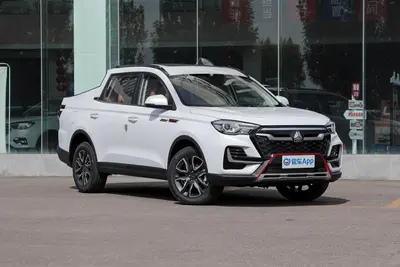 2022款 VGV VX7 2.0T 豪华版外观