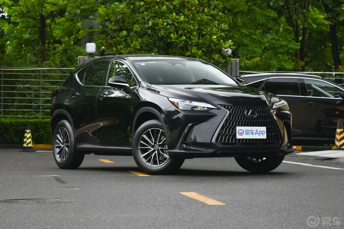 雷克萨斯NX260 两驱创悦版侧前45度车头向右水平