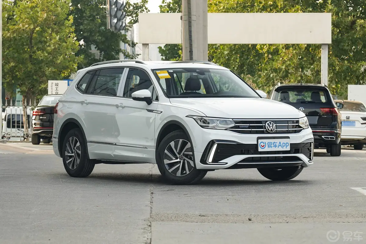 途观L 插电混动430PHEV 旗舰版驾驶员侧后门把手