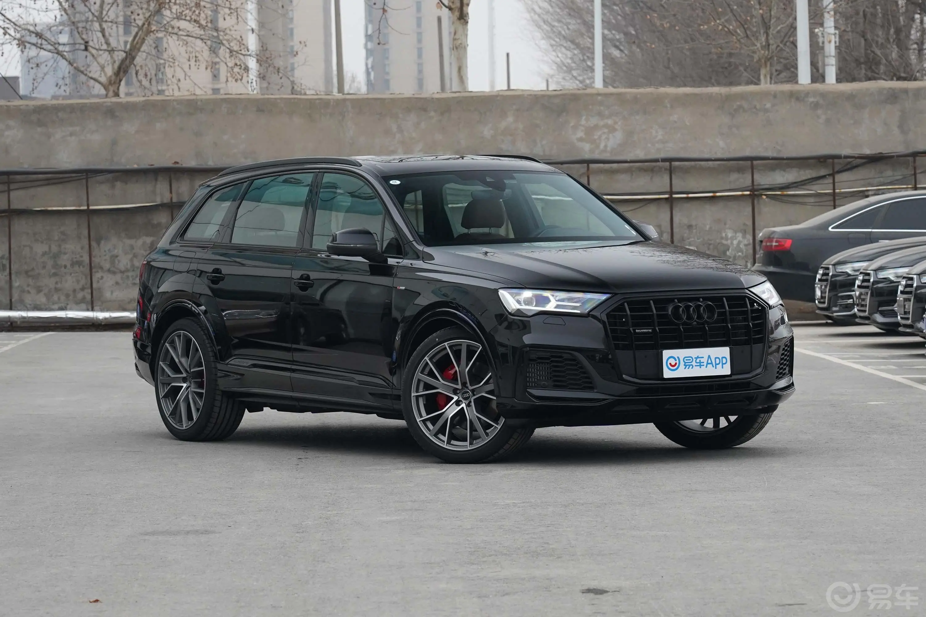 奥迪Q755 TFSI quattro S line冰雪运动版驾驶员侧后门把手