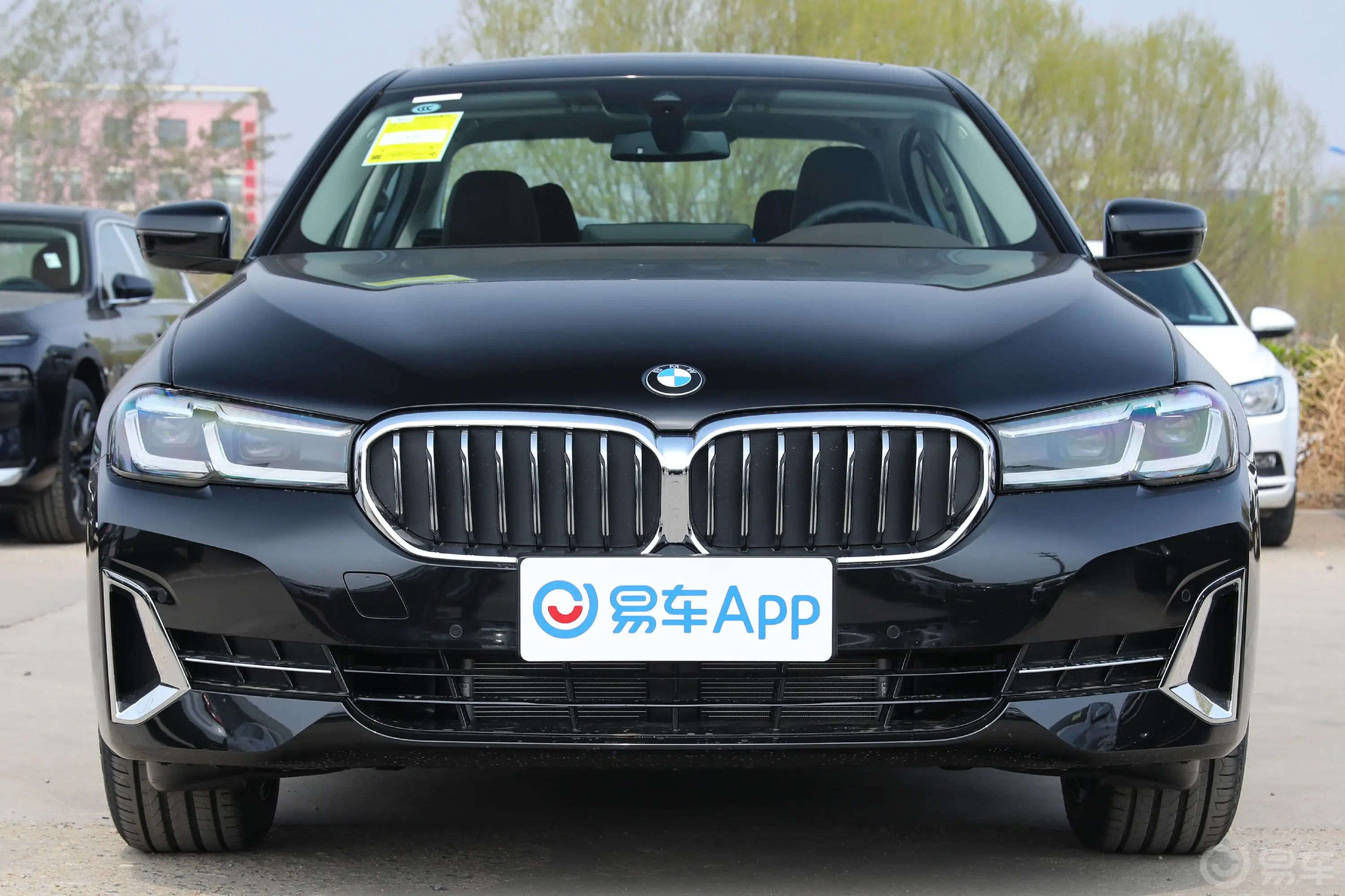 宝马5系530Li xDrive 豪华套装外观细节