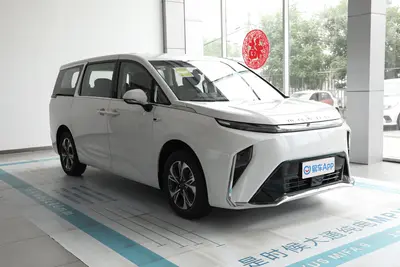 2024款 大家9 560km 绿洲版 7座外观