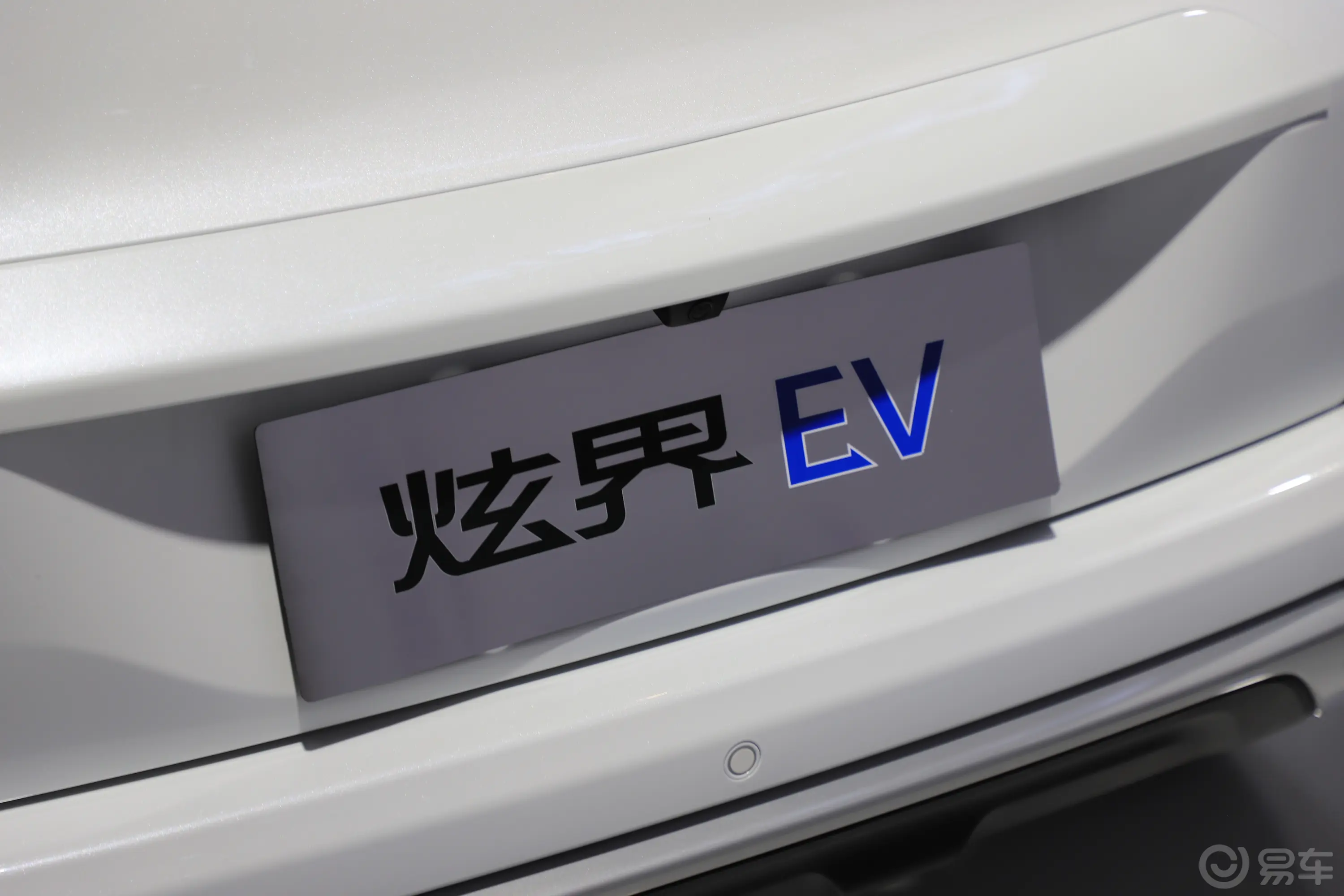 炫界Pro EV401km 舒享版外观