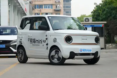 2023款 熊猫 熊猫mini 200km 灵动熊外观