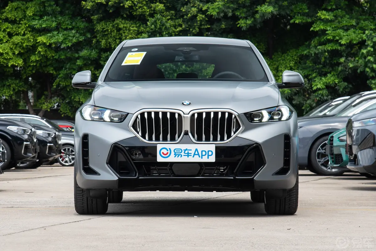 宝马X6改款 xDrive40i 尊享型 M运动套装正前水平