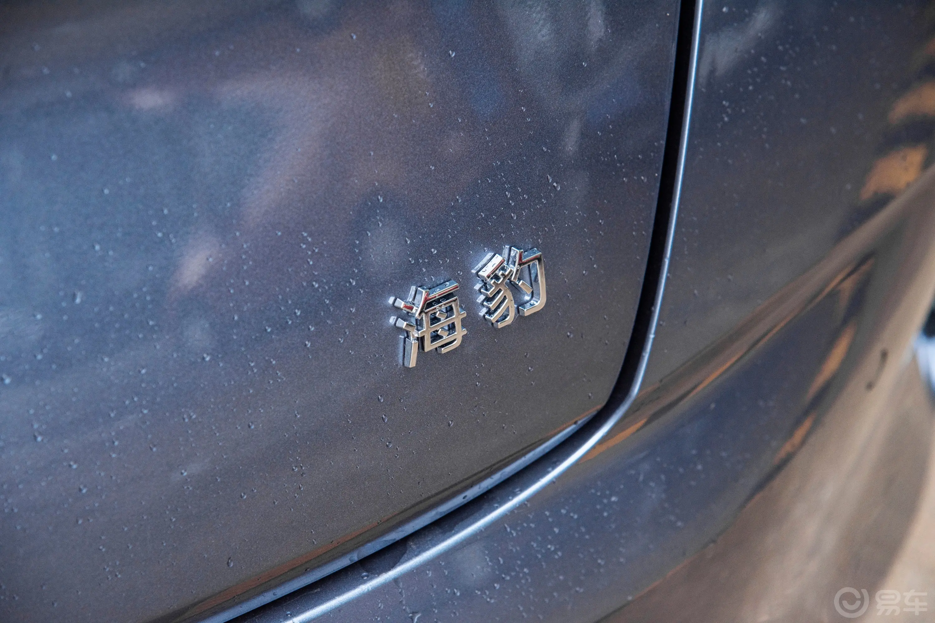海豹EV 冠军版 700km 后驱性能版外观细节