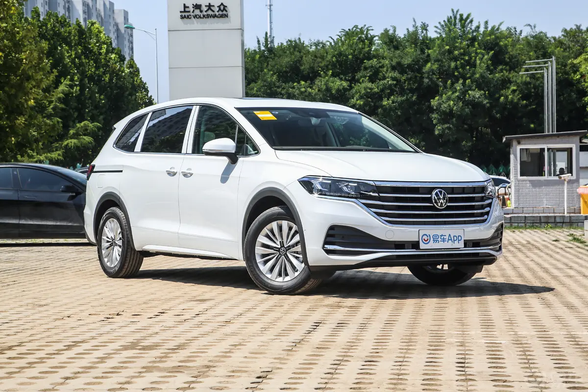 威然330TSI 商务版驾驶员侧前门把手