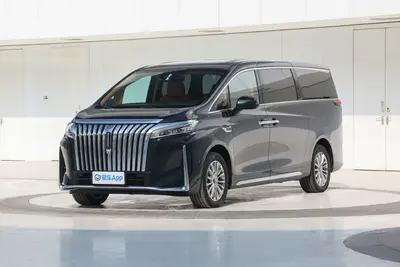 2024款 魏牌高山 1.5T 170km 行政加长版 6座外观