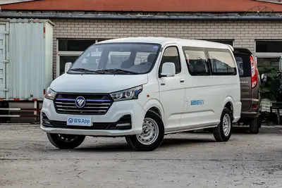 2023款 风景智蓝G5 280km 长轴平顶多用途乘用车 6座外观