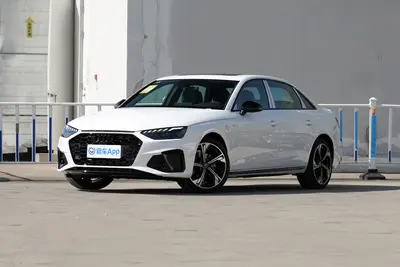 2024款 奥迪A4L 40 TFSI 豪华动感型 星夜版外观