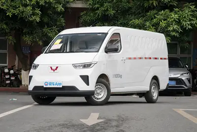 2024款 五菱扬光EV 300km 实用型 2座外观