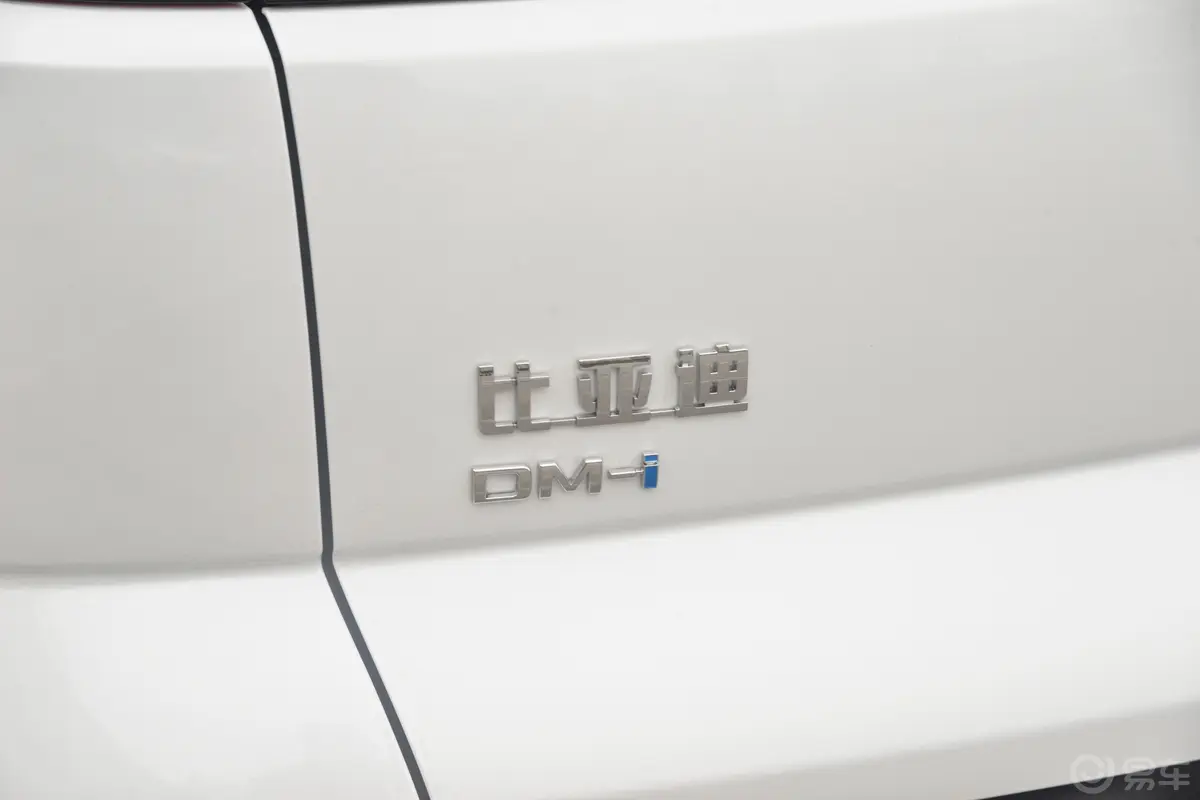 宋Pro新能源DM-i 荣耀版 1.5L 110km 超越型外观细节