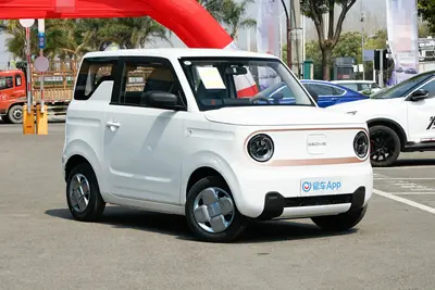 2024款 熊猫 熊猫mini 200km 龙腾版外观