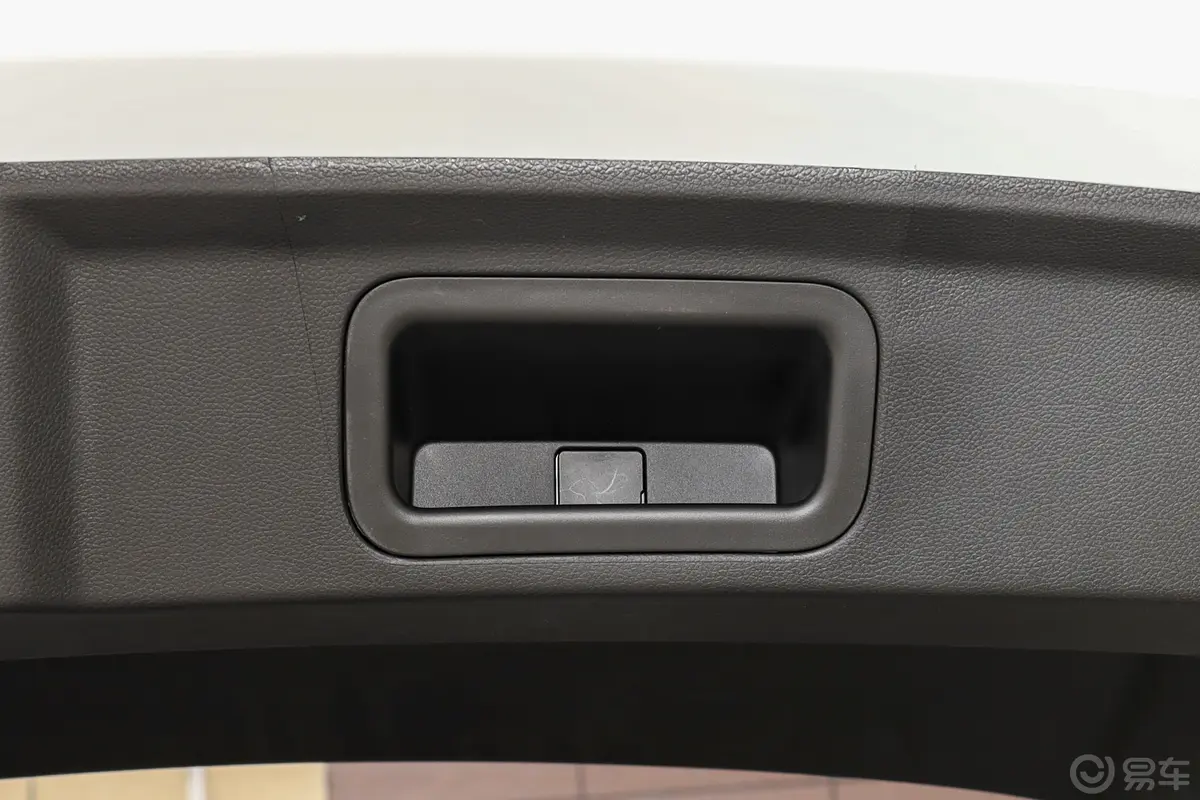 AION YPlus 610km 610 智驾版 磷酸铁锂电动尾门按键（手动扶手）