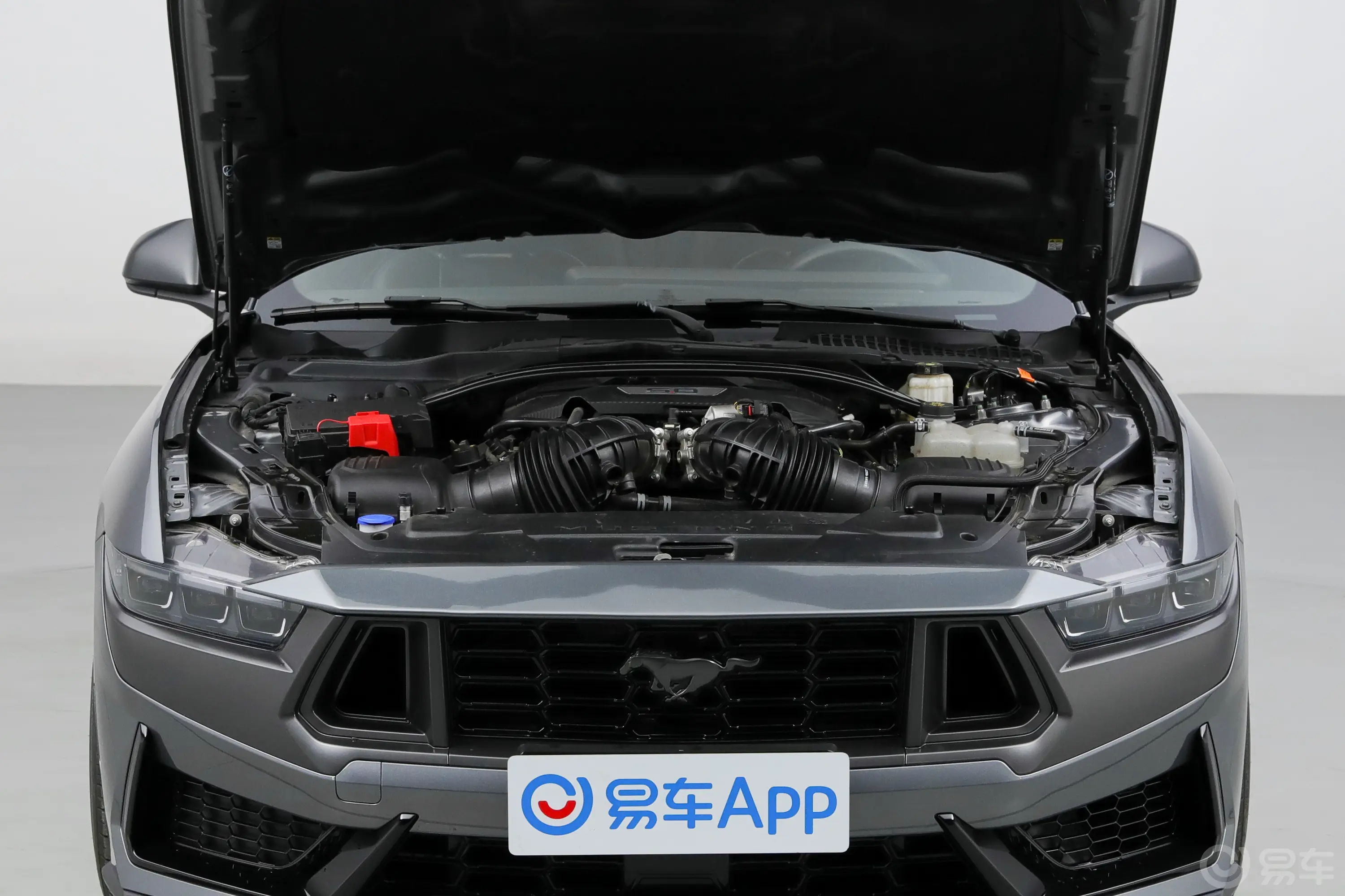 Mustang5.0L V8 Dark Horse发动机舱整体