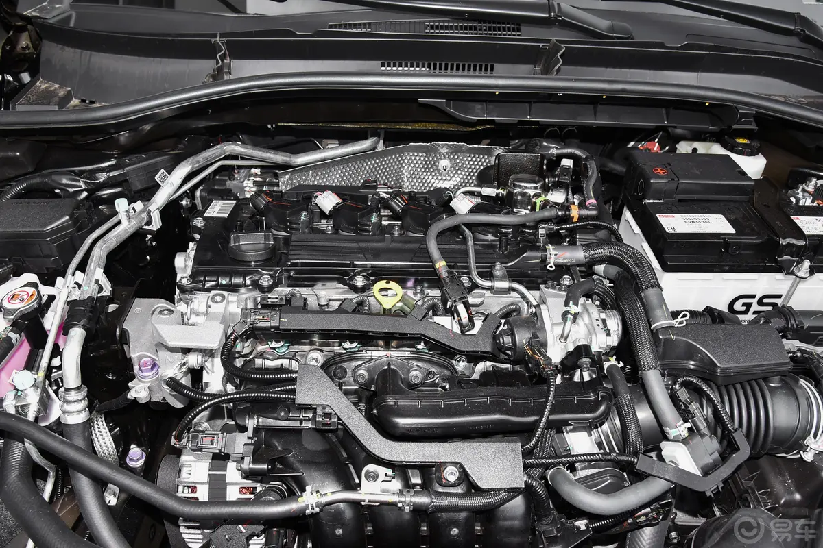卡罗拉锐放2.0L 先锋版发动机/电机特写
