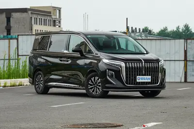 2024款 红旗HQ9 PHEV 2.0T 73km 豪华版外观