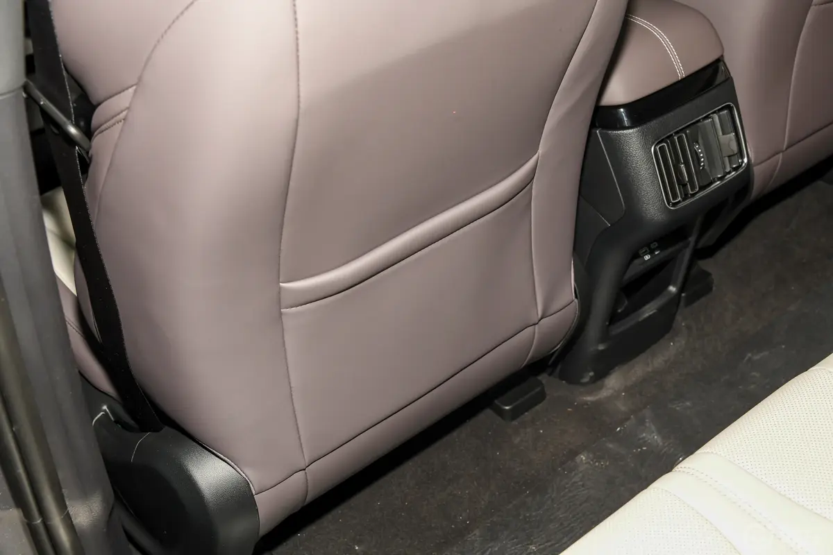 宋PLUS新能源DM-i 1.5L 160km 旗舰型后排功能
